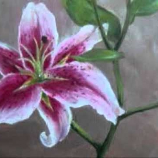 lilija