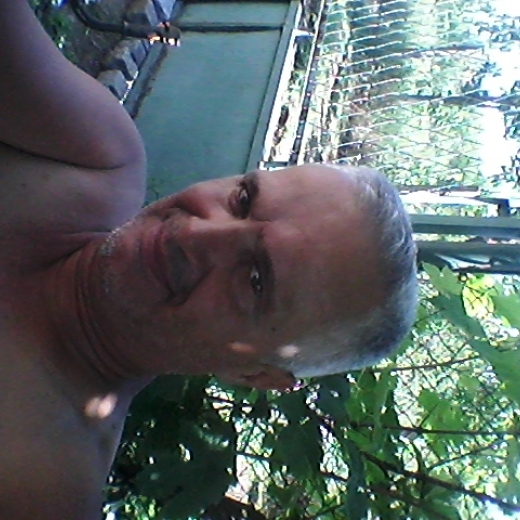 Nelebi